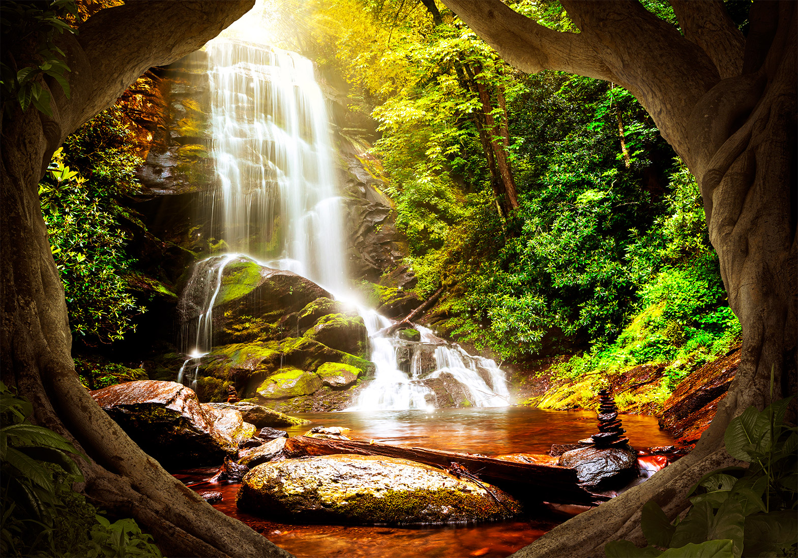 NATURE Photo Wallpaper Wall Mural Picture Non-Woven/Self-Adhesive c-B