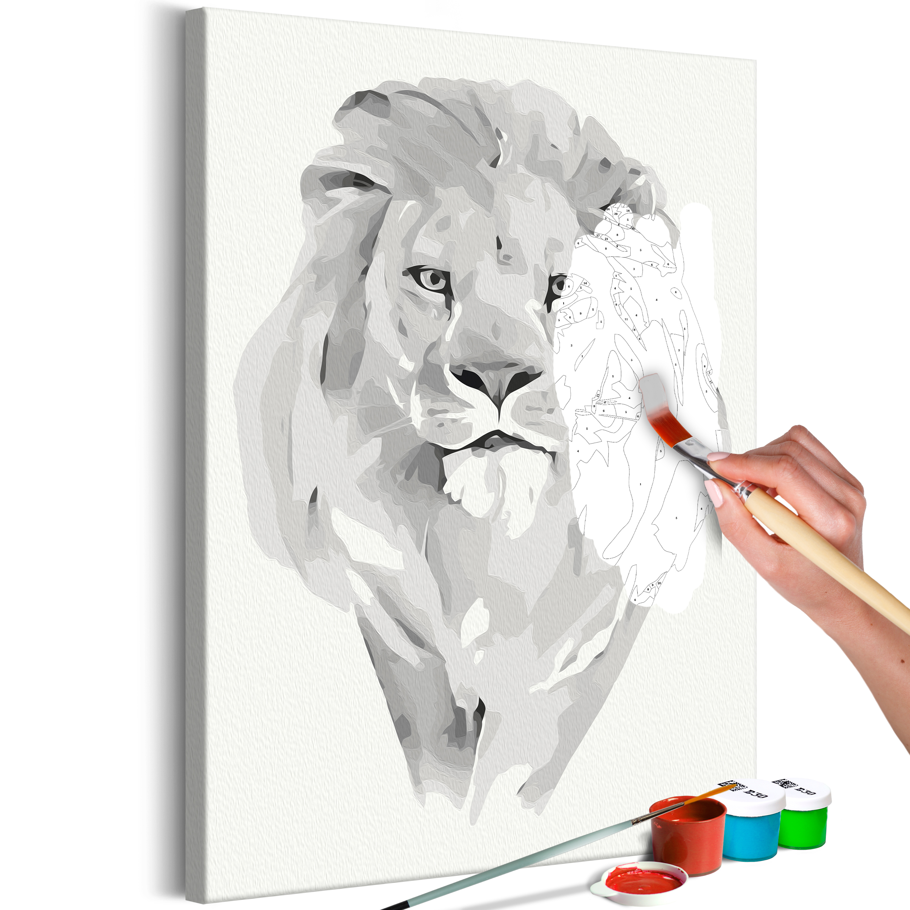 DIY canvas painting - White Lion - 40x60