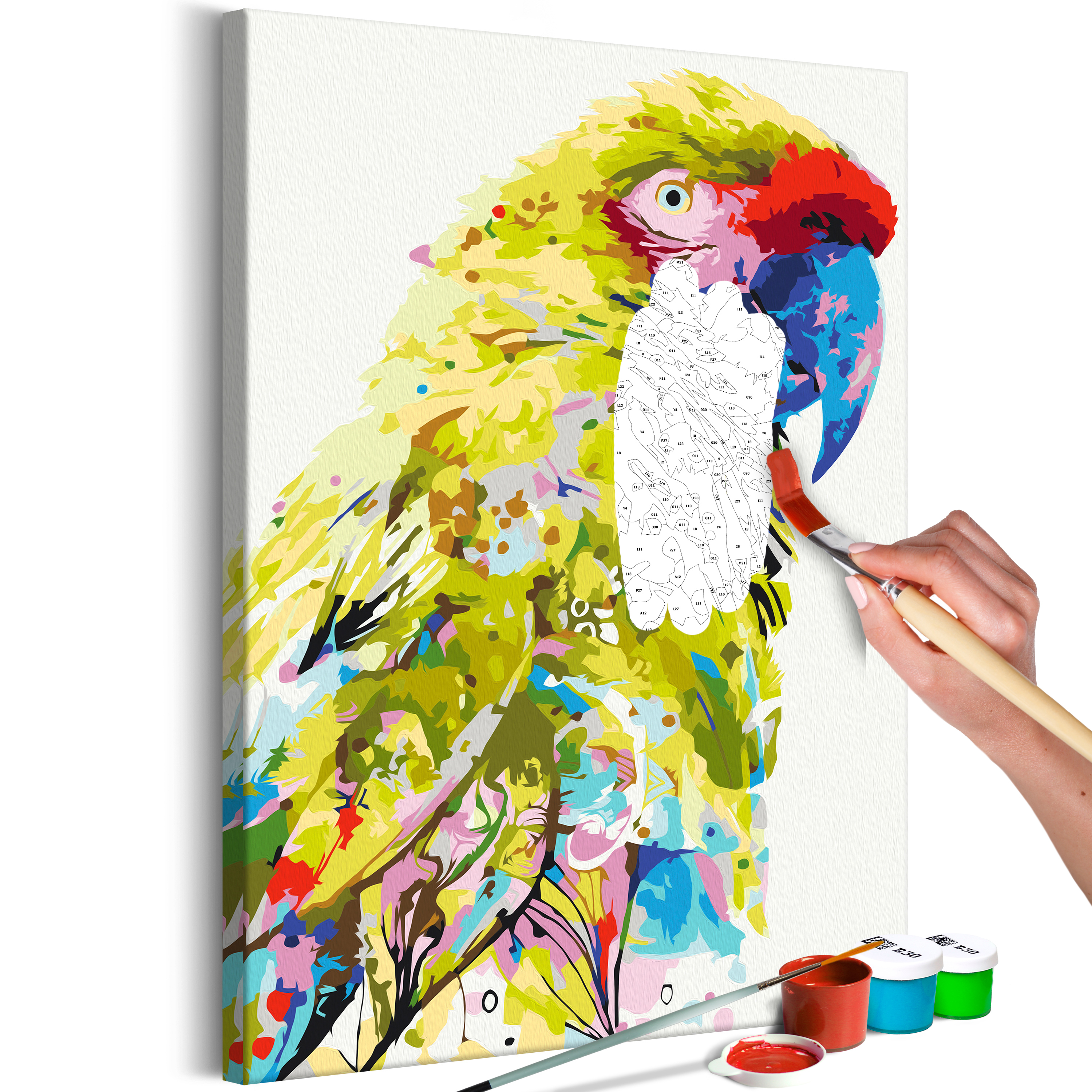 DIY canvas painting - Tropical Parrot - 40x60