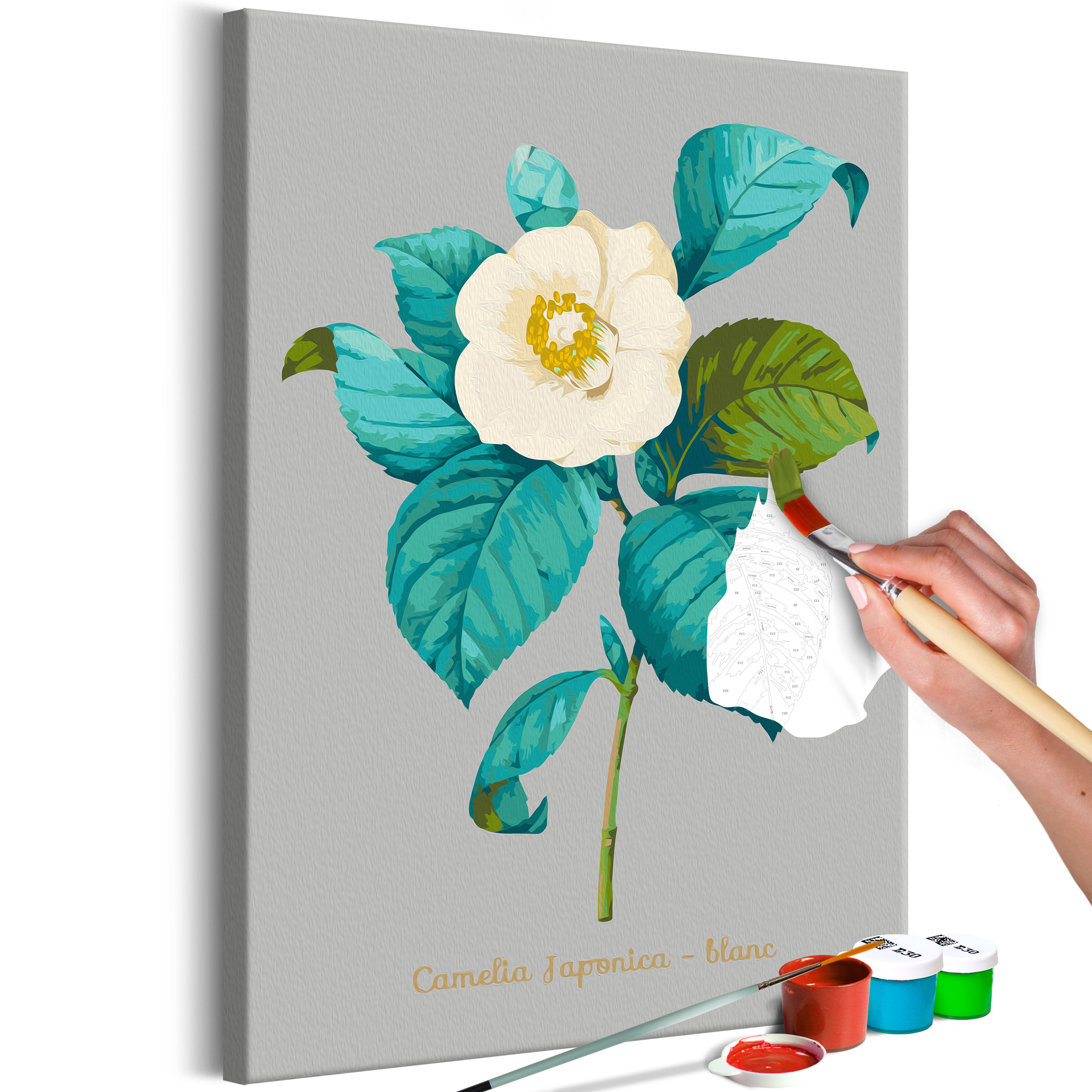 DIY canvas painting - Beautiful Camellia - 40x60