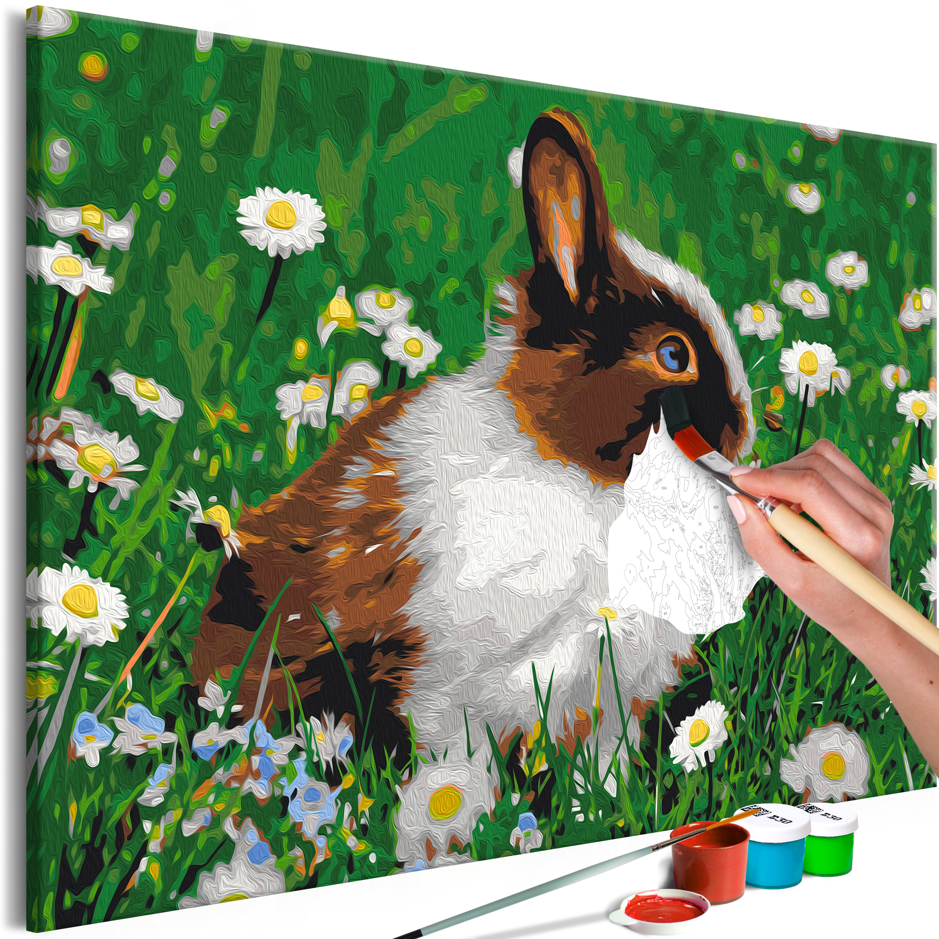DIY canvas painting - Rabbit in the Meadow - 60x40