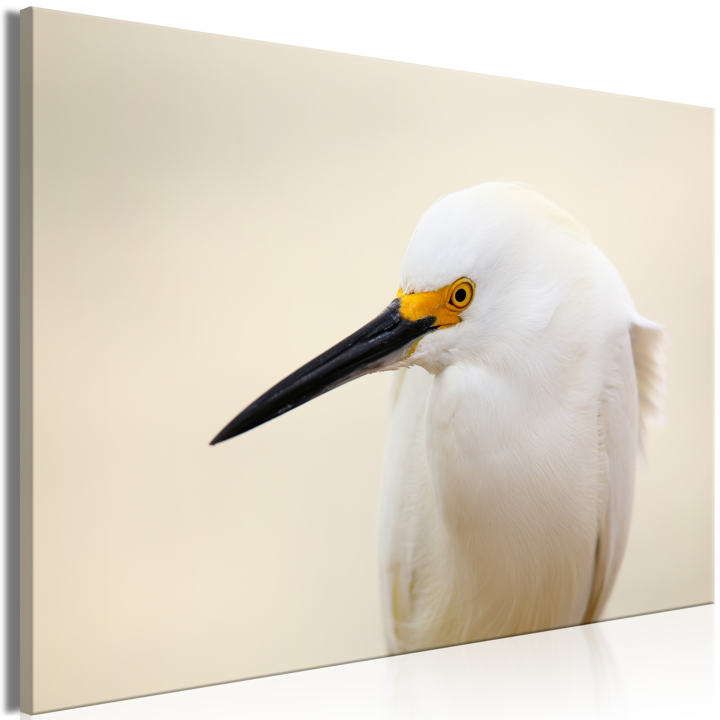 Canvas Print - Snowy Egret (1 Part) Wide - 90x60
