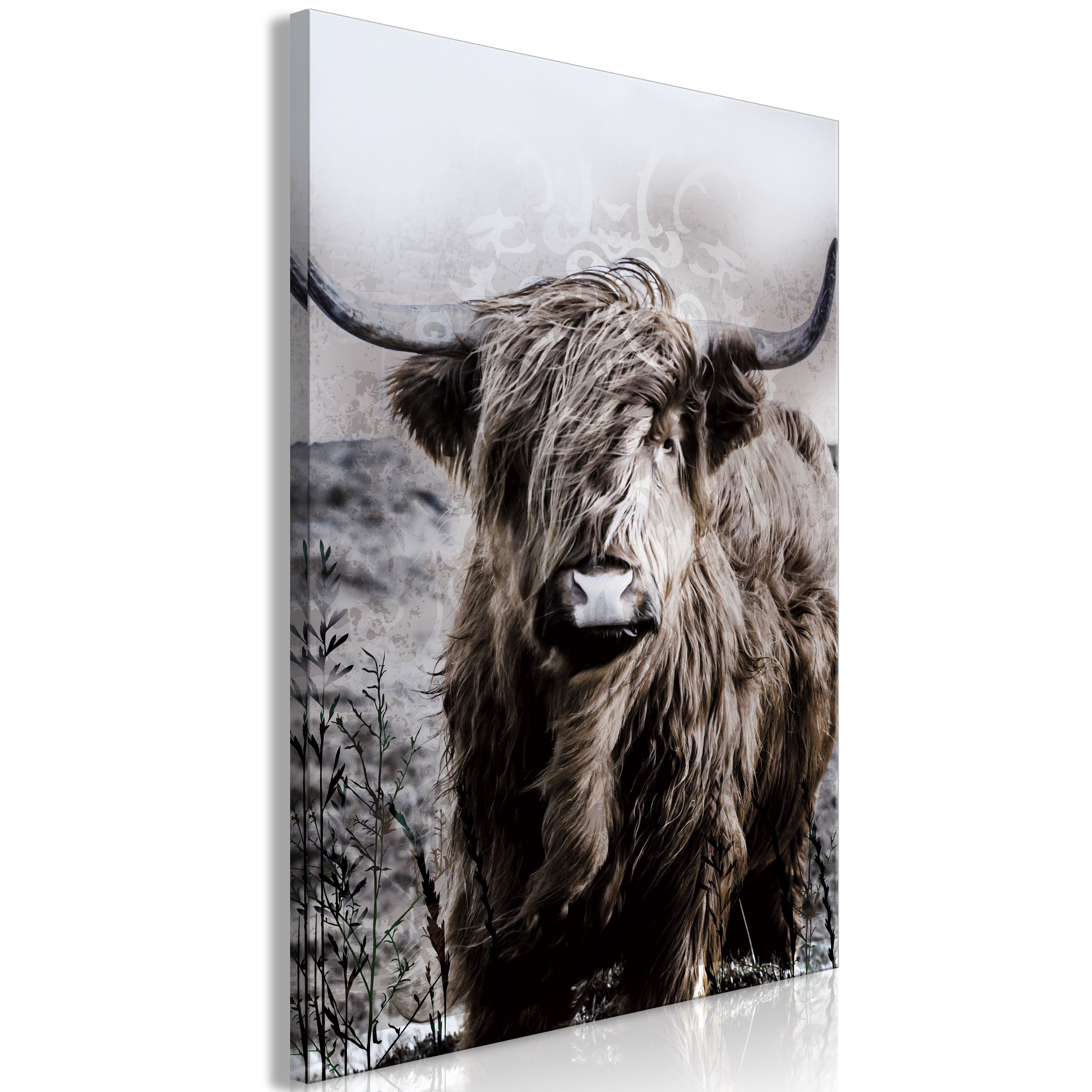 Canvas Print - Highland Cow in Sepia - 60x90